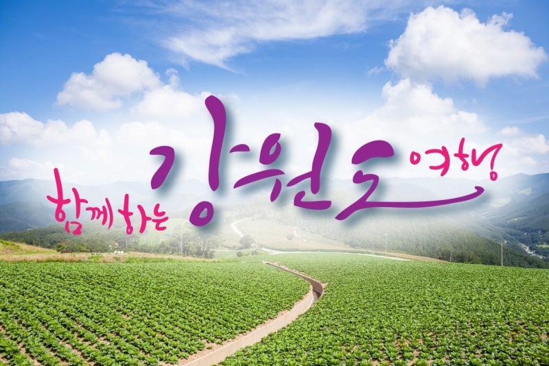 함께하는 강원도 여행 ㅣ9월 하이원&2색 /강원권 특가잔여팀 찬스