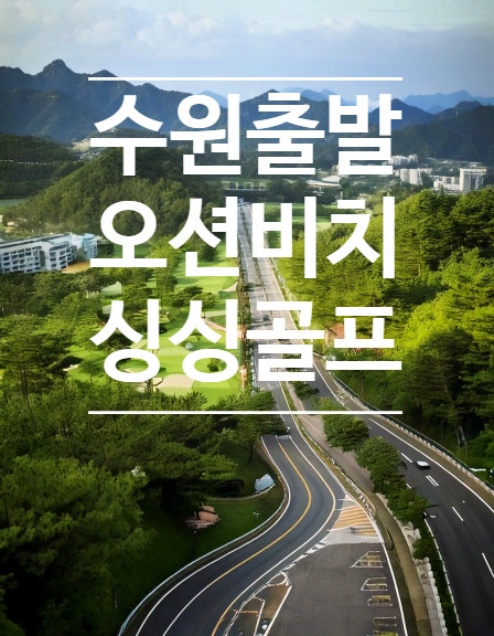 수원 출발! 영덕 오션비치CC 최적 경로 · 소요 시간 완벽 가이드