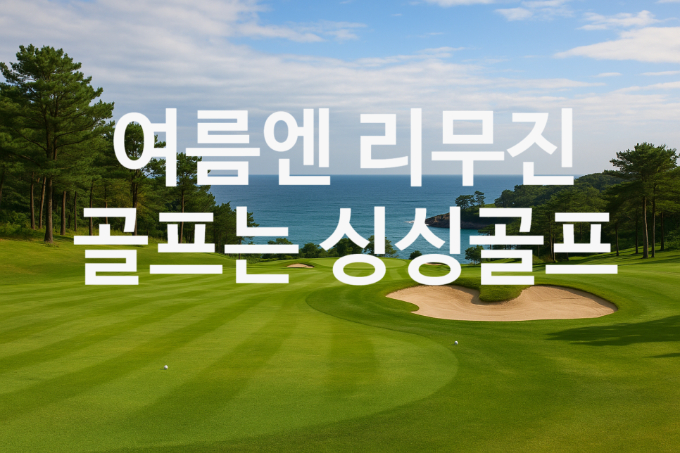 올여름 가장 여유로운 2박3일 골프투어 파인힐스ㆍ오션비치ㆍ파인비치ㆍ솔라시도에서 즐기는 시니어 리무진 골프여행