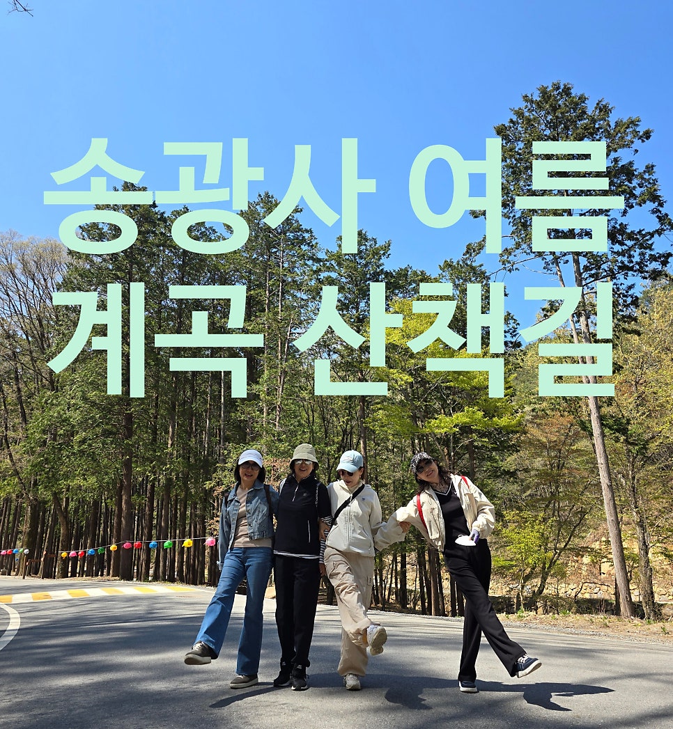 🌿 송광사 계곡 산책과 템플스테이, 시니어 여름 여행 추천 코스