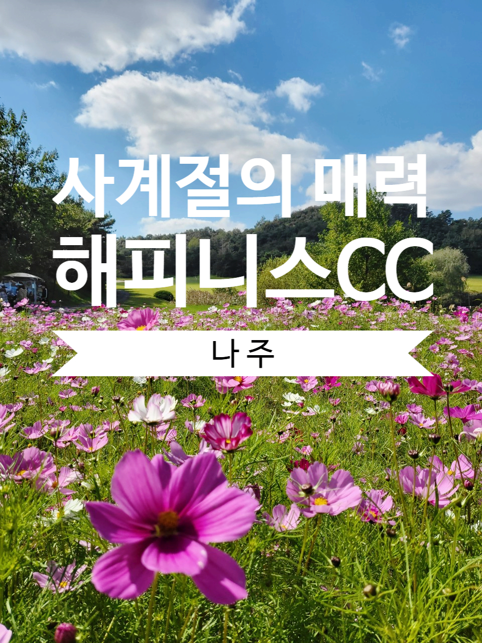 나주 해피니스CC 골프 패키지 – 품격 있는 라운딩의 시작