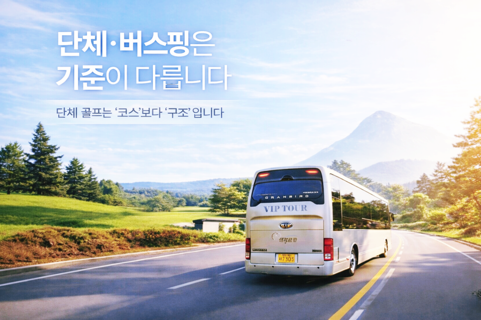 🎯 단체 · 버스핑은 기준이 다릅니다.