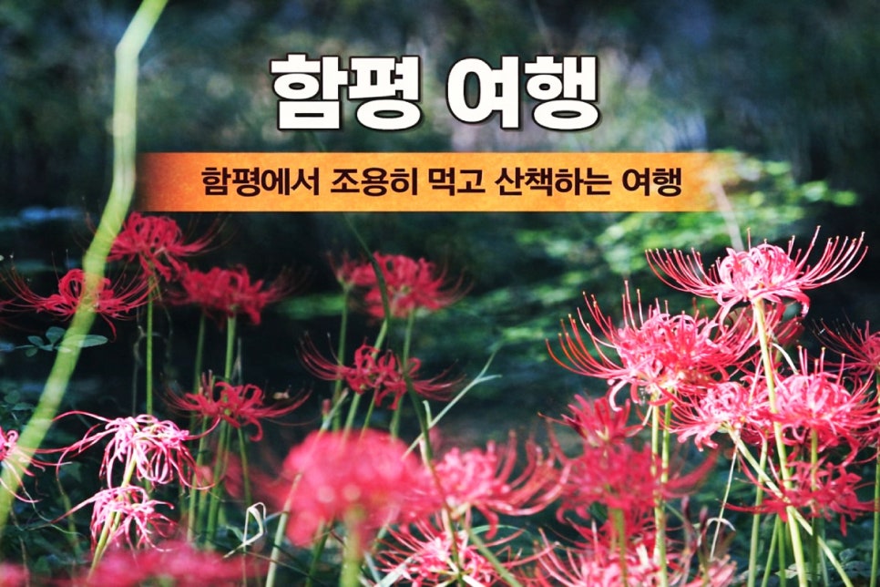 조용한 전라도 여행, 함평의 맛집과 산책 코스